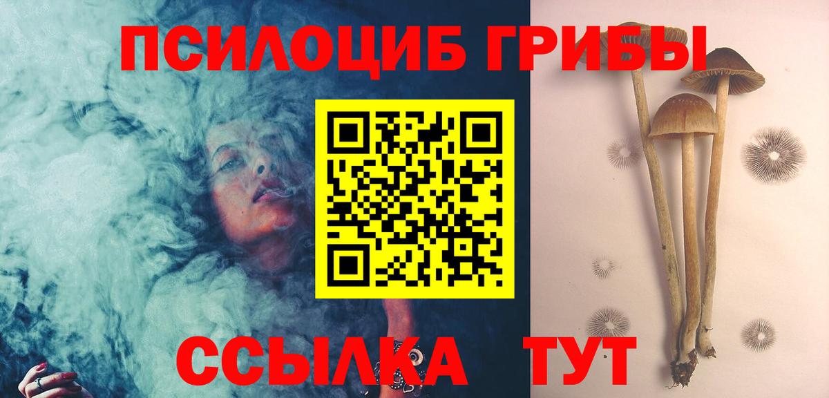 Рыбинск  Галлюциногенные грибы Psilocybe  Псилоцибиновые грибы GOLDEN TEACHER  Вход с VPN 